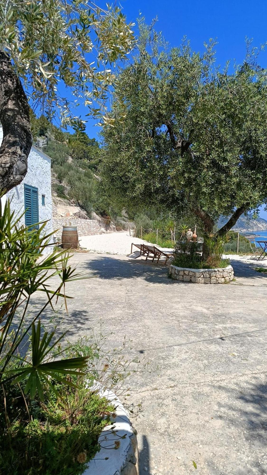 Petra Bianca Charming House Villa Матината Екстериор снимка